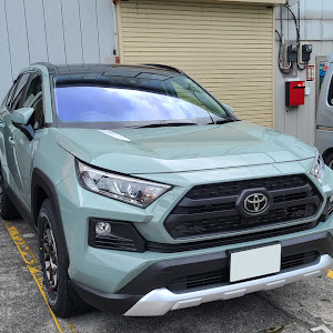 RAV4 MXAA54