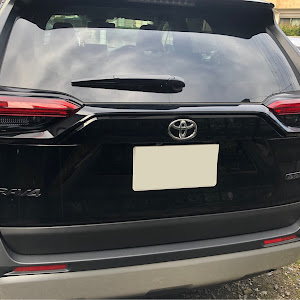 RAV4 MXAA54