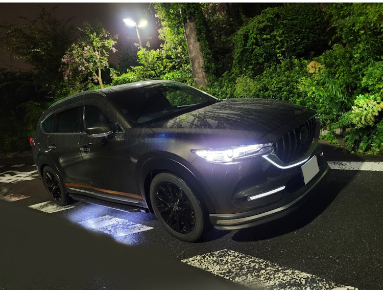 CX-8のはったろーさんが投稿したカスタム事例の投稿画像1枚目
