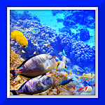 Under Sea Live Wallpaper Apk