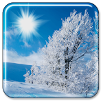 Winter Live Wallpaper Apk