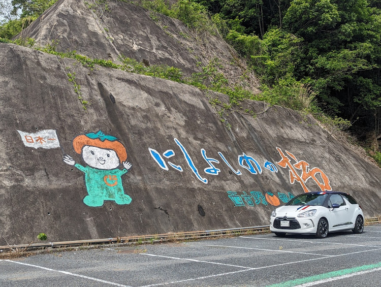 DS3 カブリオの奈良県五條市・カッキー・西吉野柿選果場・セブンティーンアイスに関するカスタム事例の投稿画像2枚目