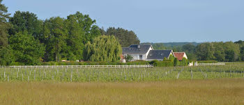 propriété à Cour-Cheverny (41)