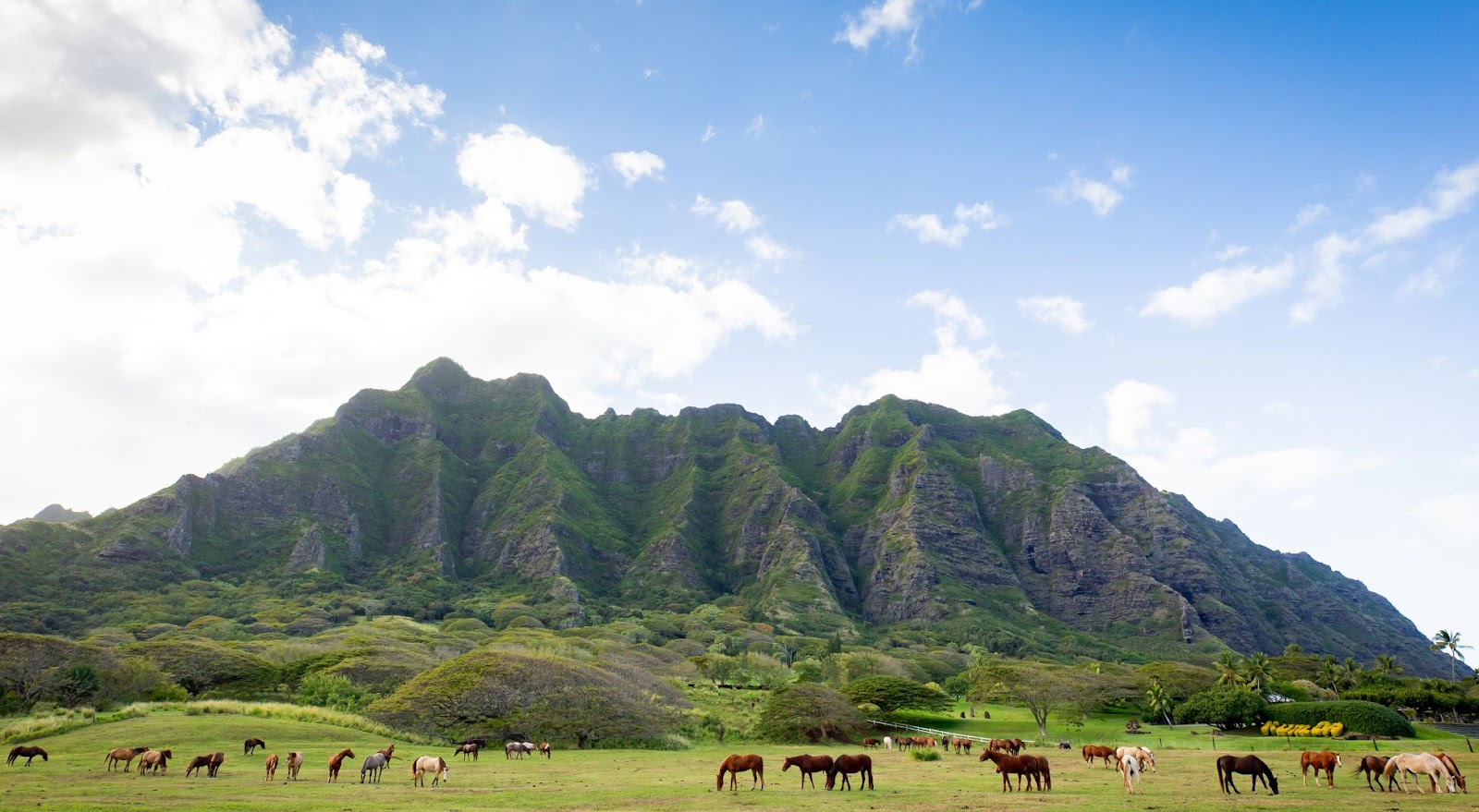 atv tour hawaii jurassic park