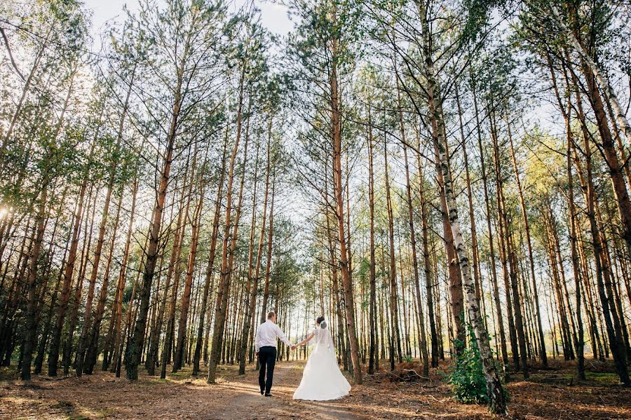 Wedding photographer Yuliya Dobrovolskaya (juliakaverina). Photo of 24 January 2017