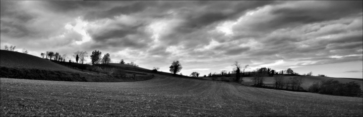 Novembre di merlino