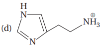 Amino Acids