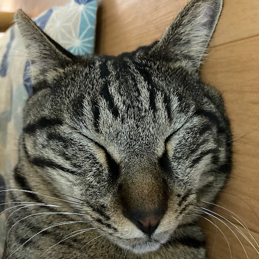 isaoilのプロフィール画像