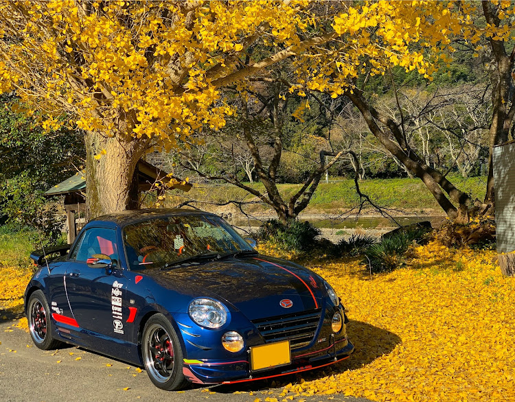 コペンの紅葉探し🍁・日曜の午後のひだまり・紅葉と愛車・L880Kコペンに関するカスタム事例の投稿画像5枚目