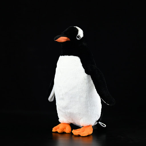 Papua Penguin