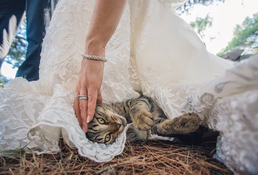 Düğün fotoğrafçısı Matija Prajo (matijaprajo). 20 Ağustos 2019 fotoları