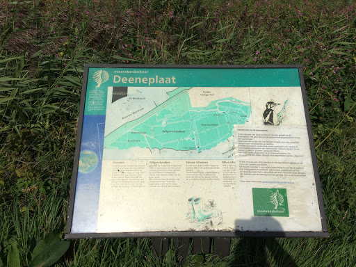 Deenenplaat Biesbosch