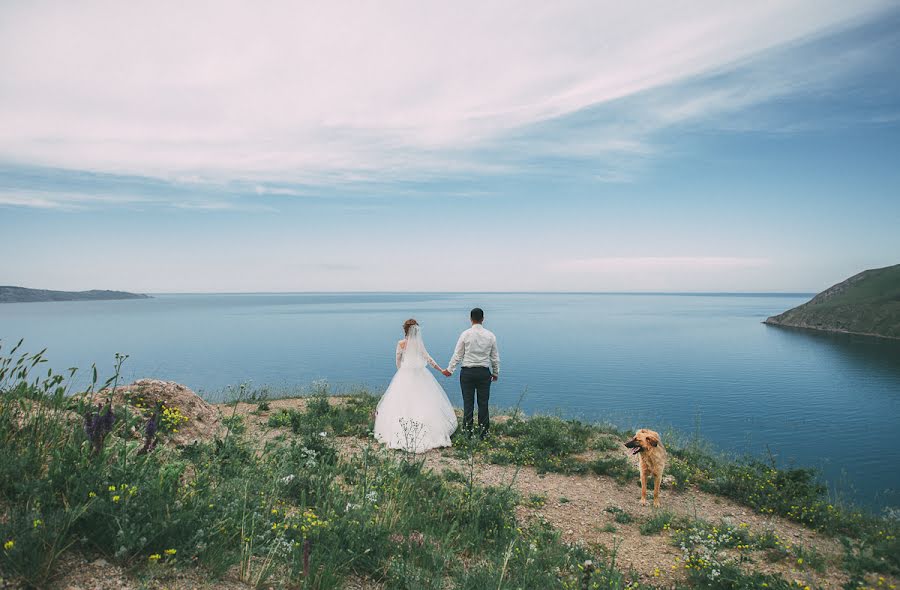 結婚式の写真家Nikolay Kharlamov (nikharlamov)。2015 9月16日の写真