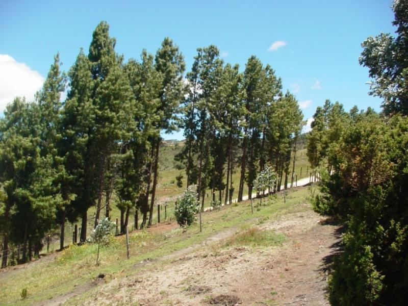 Lote En Venta - Sopo, Sopo