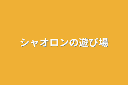 シャオロンの遊び場