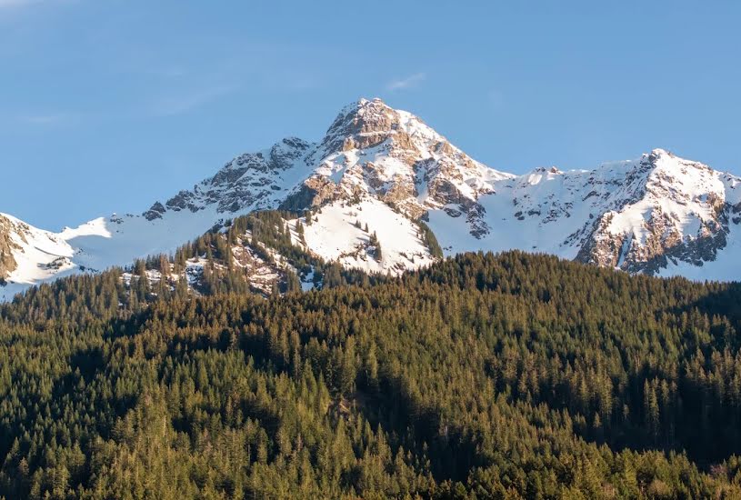  Vente Terrain à bâtir - à Abondance (74360) 