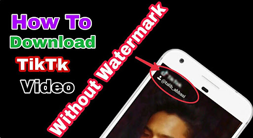 Screenshot Tik Downloader No Watermark