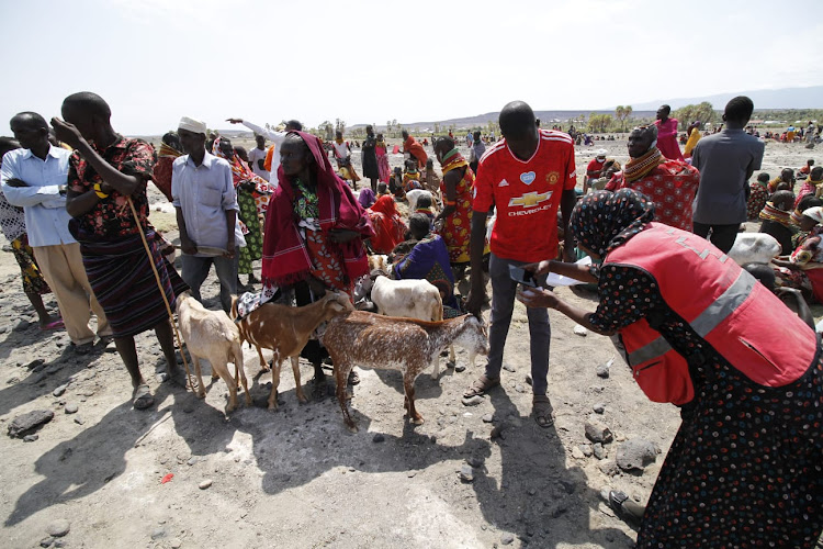 Athi Jillo of the Kenya Red Cross take details of goat owners during the ongoing destocking programme on July 30.