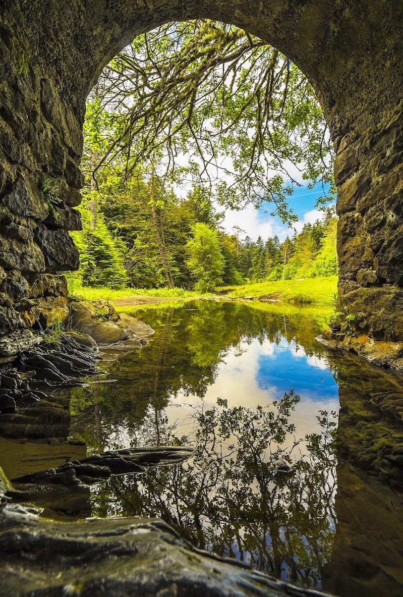 Piccolo lago di Eduard