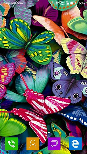 免費下載個人化APP|Butterfly wallpapers HD app開箱文|APP開箱王