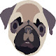 Pugs Wallpapers Pugs New Tab HD