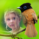 Download Birds Photo Frames For PC Windows and Mac 1.0