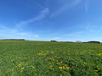 terrain à Saint-Just-Malmont (43)