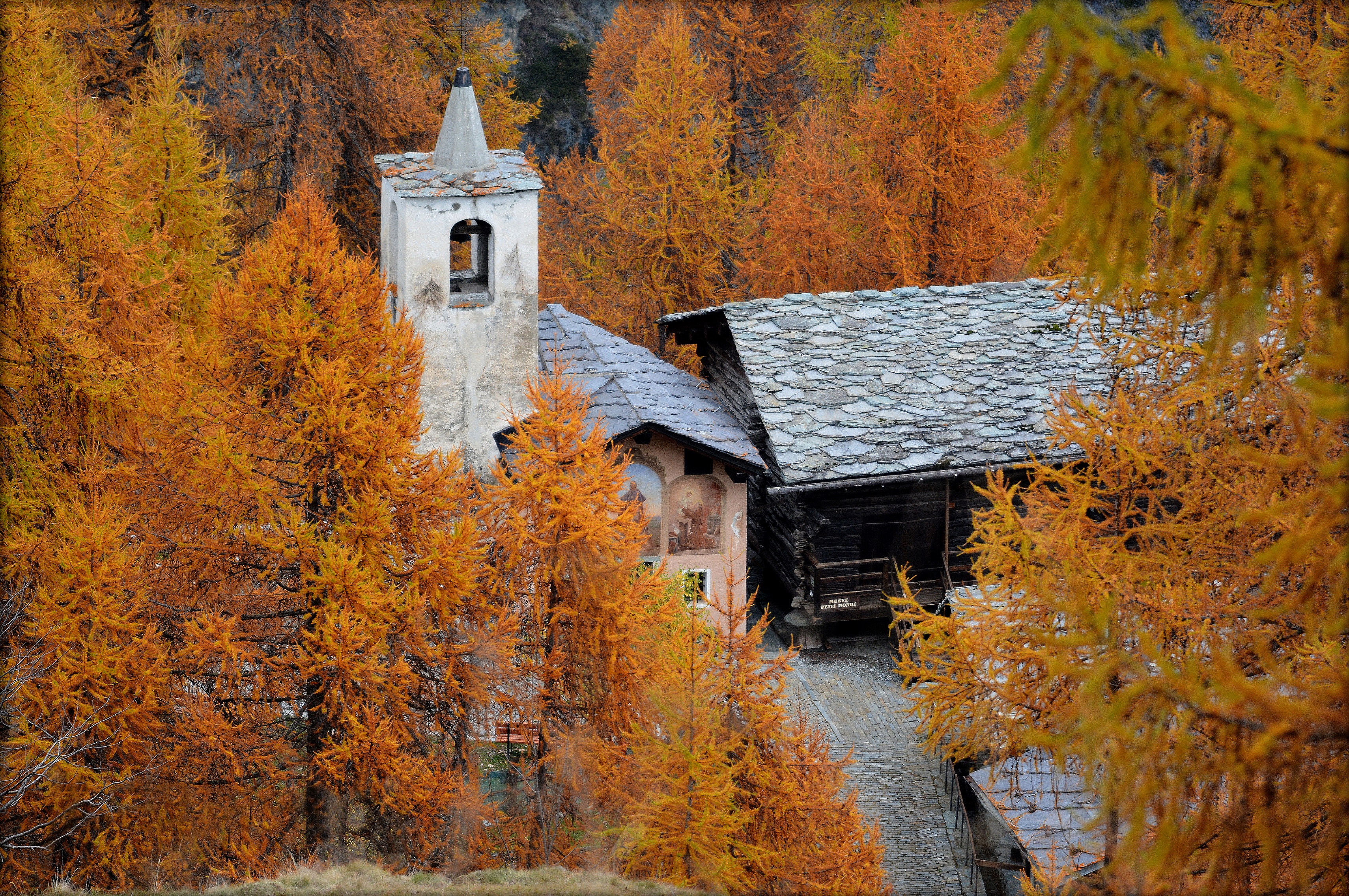 Nel bosco dorato. di gigidueelle