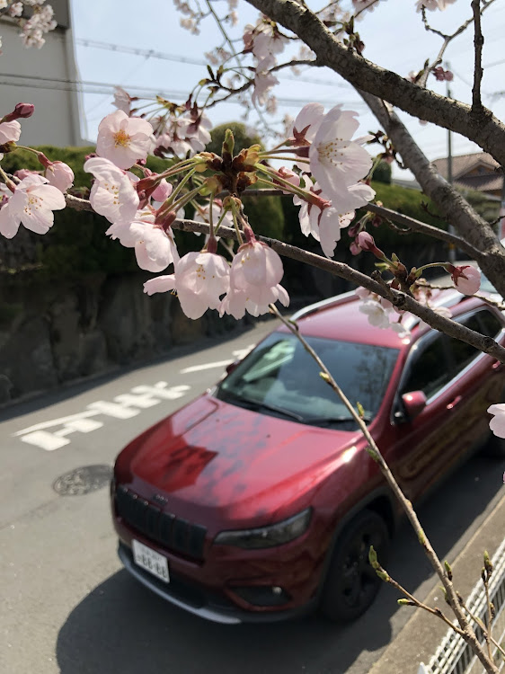 NISSAN GT-Rの色んなコラボ・安全運転友の会・ローガン・チェロキーに関するカスタム事例の投稿画像7枚目