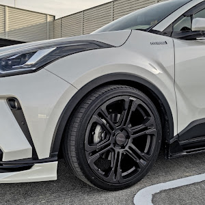 C-HR ZYX11