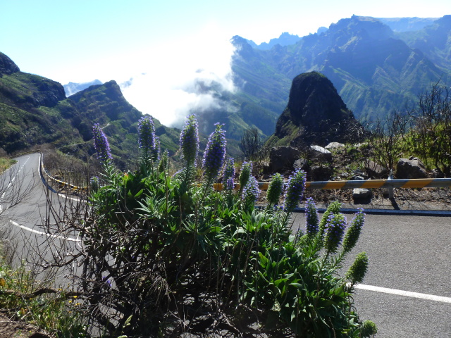 CAMARA DE LOBOS. Ruta: desde Lombo do Mouro a Encumeada. CABO GIRAO - MADEIRA, Senderismo por sus Levadas y algo más (8)