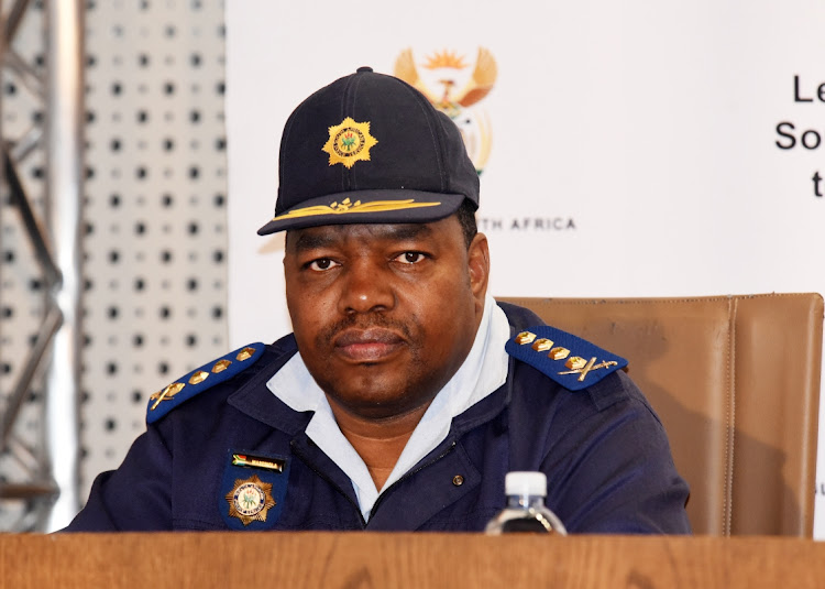 National police commissioner Gen Fannie Masemola has removed presidential protection unit head Maj-Gen Wally Rhoode from his post.