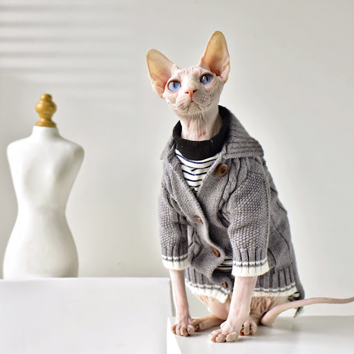 Title 3, Four Seasons Warm Cardigan Hairless Cat Clothes...