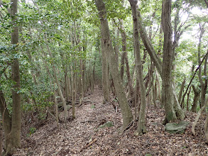 細尾根を進む