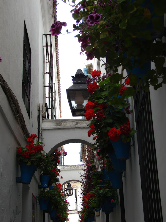 cordoue - calleja las flores