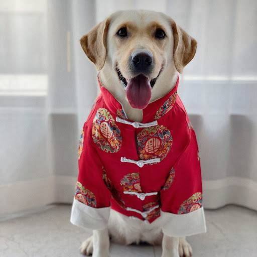 Title 6, Festive Chinese Style Clothes for Pet Dogs Dres...