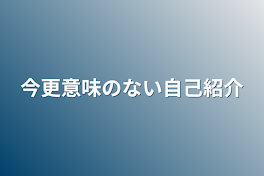 今更意味のない自己紹介