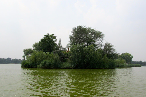 Old Summer Palace Ruins Beijing China 2014