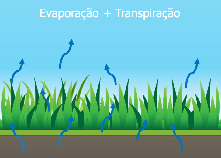 Evapotranspiração potencial (ETp) ou de referência (ETo)