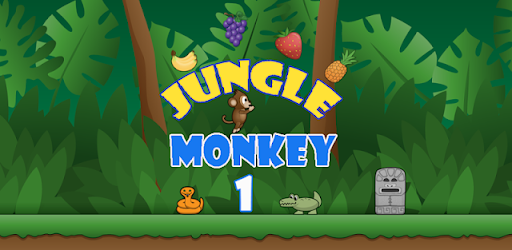 Jungle Monkey