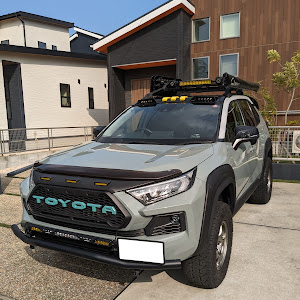 RAV4 MXAA54