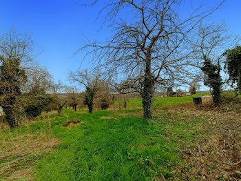 maison à La Ferté-sous-Jouarre (77)