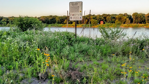 Nature Prairie Restoration