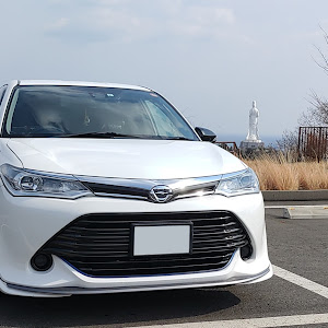 カローラフィールダー NZE161G