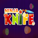 Knife Hits Throw - Ninja Game