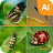 Insect ID - AI insect identify icon