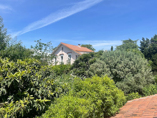 Maison avec terrasse 5