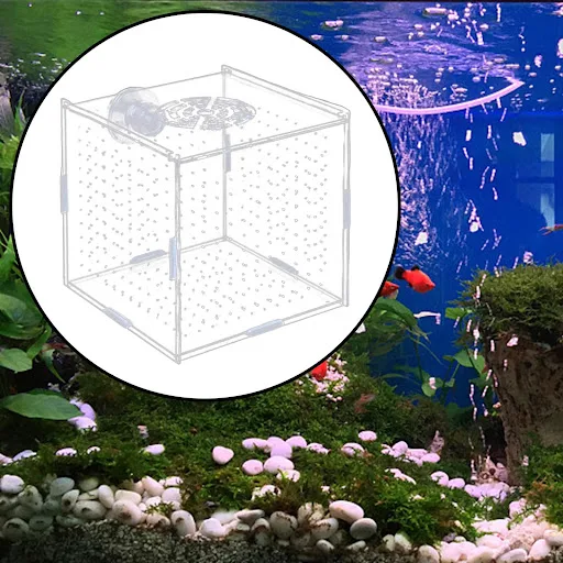 Aquarium Isolation Box Multifunction Aquarium Supply Fish Breeding Holder for Newborn Fry Guppy Aggressive fish babies p