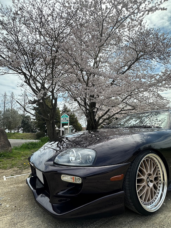 スープラのスープラ80・work vs xxに関するカスタム事例の投稿画像2枚目