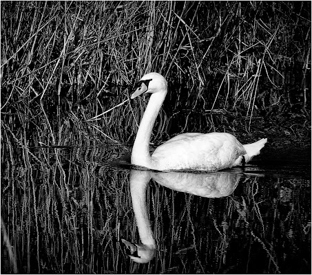 Uno specchio d'acqua! di Giovi18